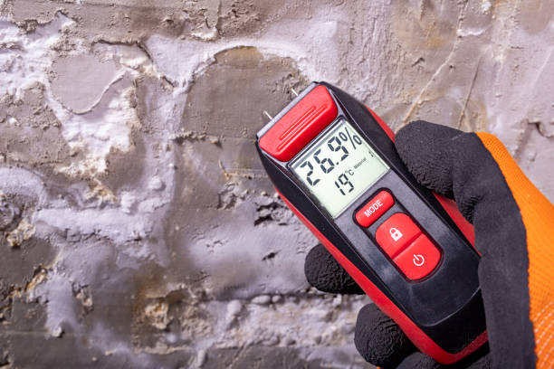 Best Black Mold Removal  in Roslyn Heights, NY